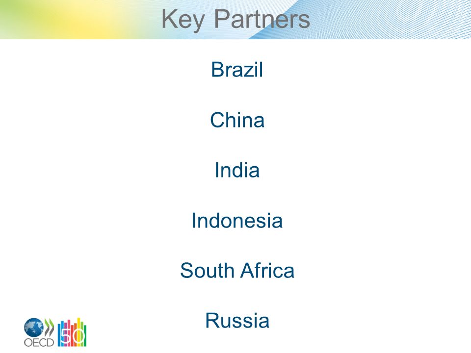 Key Partners Brazil China India Indonesia South Africa Russia