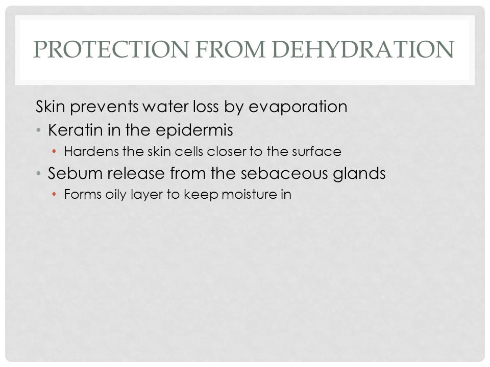 PROTECTION FROM DEHYDRATION Skin prevents water loss by evaporation Keratin in the epidermis Hardens the skin cells closer to the surface Sebum release from the sebaceous glands Forms oily layer to keep moisture in