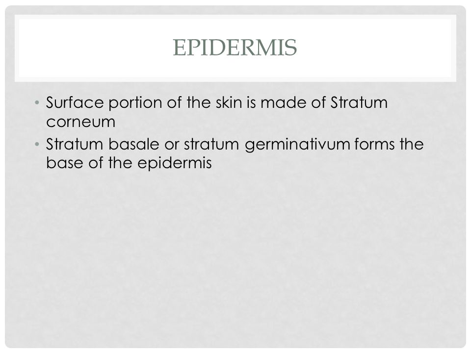 EPIDERMIS Surface portion of the skin is made of Stratum corneum Stratum basale or stratum germinativum forms the base of the epidermis