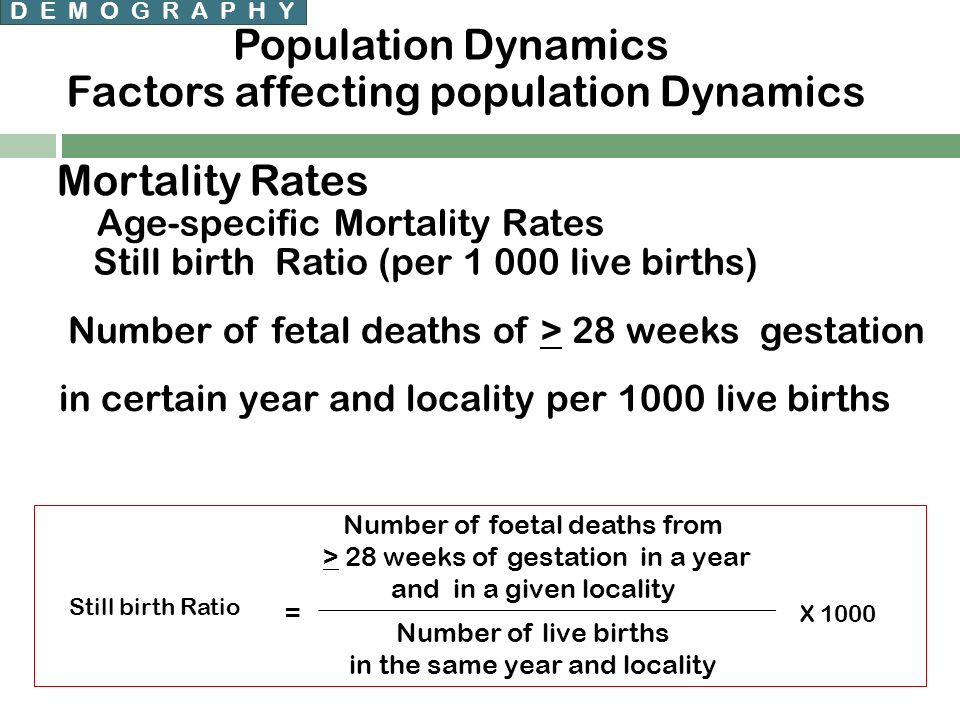 Chp400 Community Health Program Li Mohamed M B Alnoor 55 D E M O G R A P H Y Potion Dynamics Factors Affecting Mortality Rates