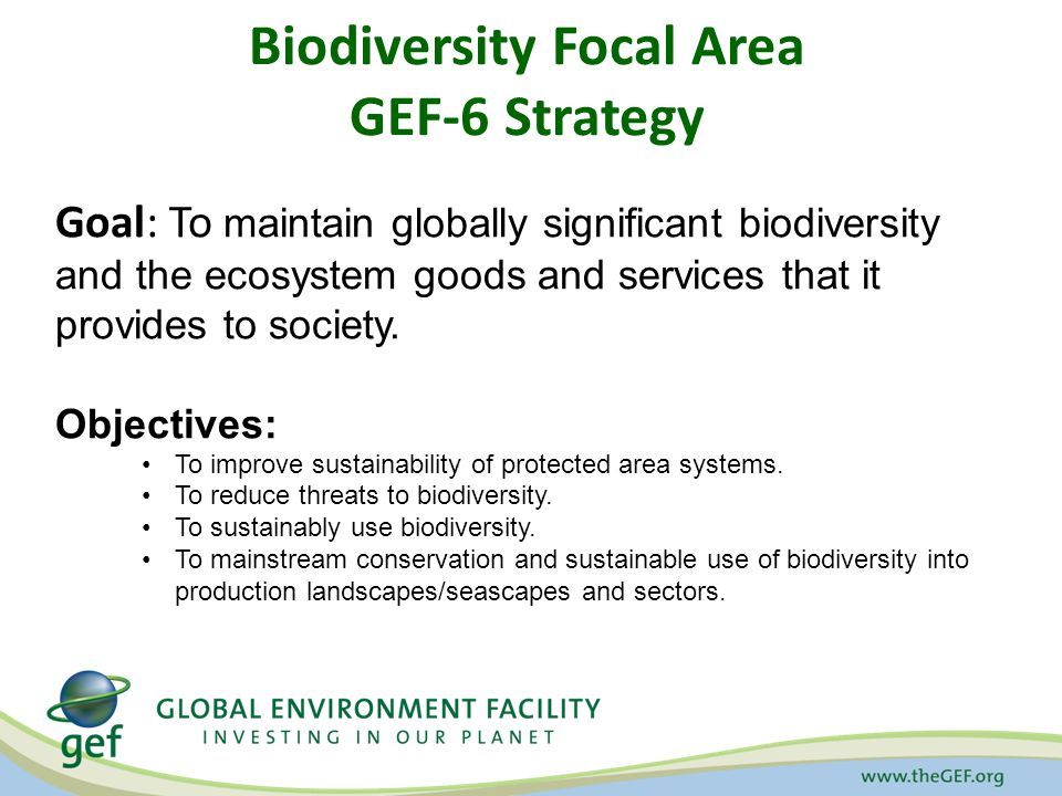 Biodiversity Focal Area GEF-6 Strategy Goal: To maintain globally significant biodiversity and the ecosystem goods and services that it provides to society.