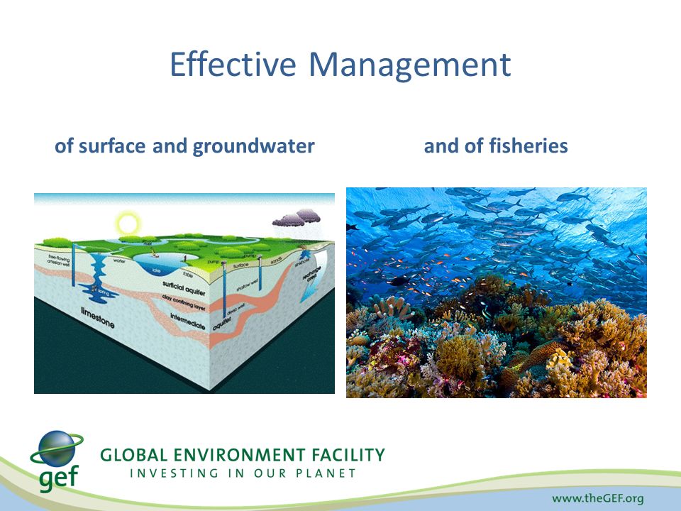 Effective Management of surface and groundwaterand of fisheries
