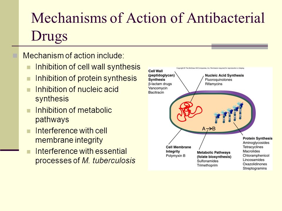 Ciprofloxacin inhibits nucleic acid synthesis inhibitors Ciprofloxacin inhibits nucleic acid synthesis inhibitors
