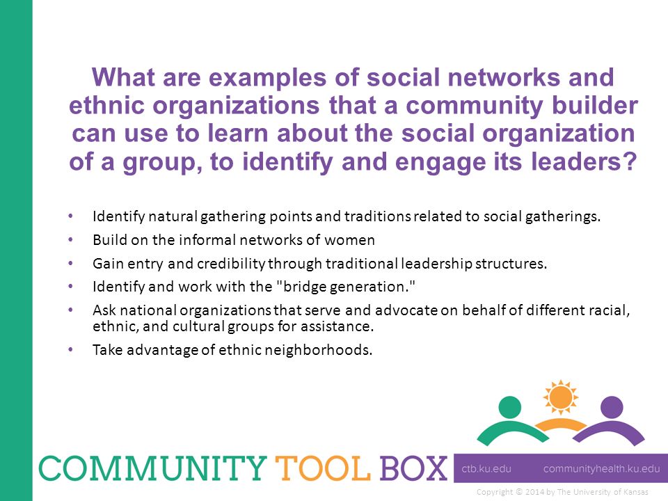 social organization examples