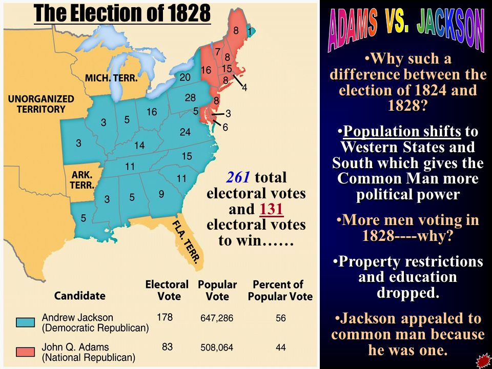what were the democratic egalitarian trends between 1800 to 1830 elections of 1824 and 1828
