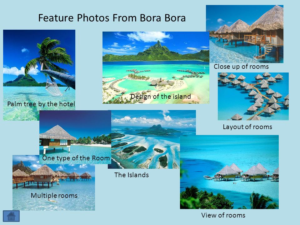 Feature Photos From Bora Bora Palm tree by the hotel One type of the Room Multiple rooms The Islands View of rooms Design of the island Layout of rooms Close up of rooms
