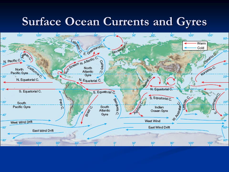 Surface Ocean Currents and Gyres