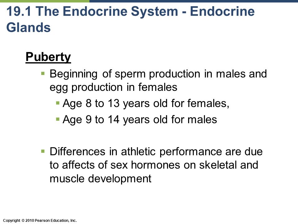 Copyright 2010 Pearson Education Inc Chapter 19 Sex Differences And