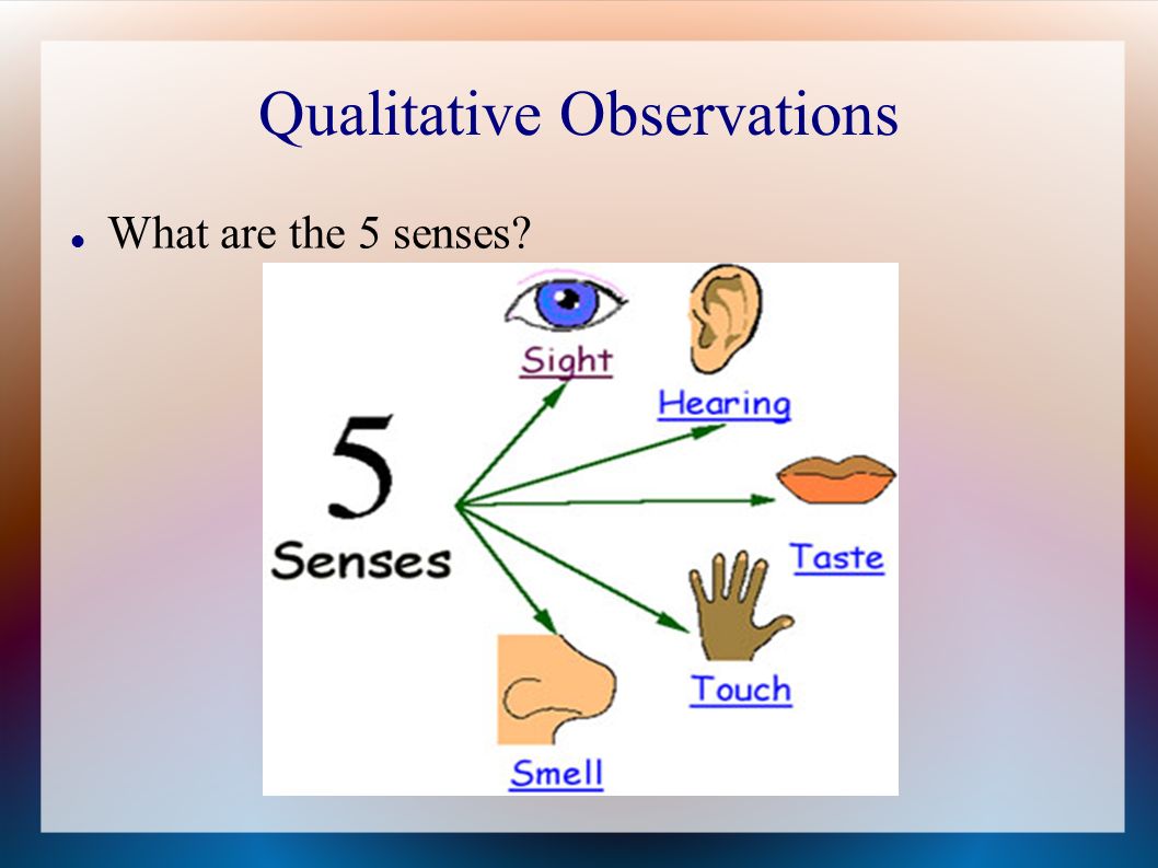 Qualitative Observations What are the 5 senses