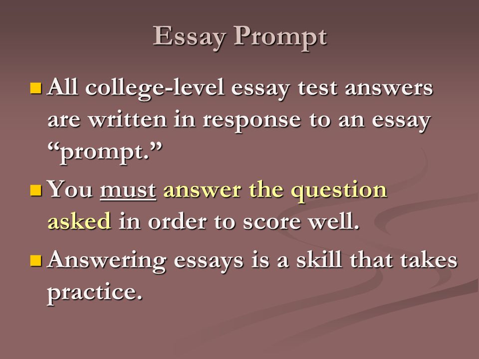 best sat essay examples