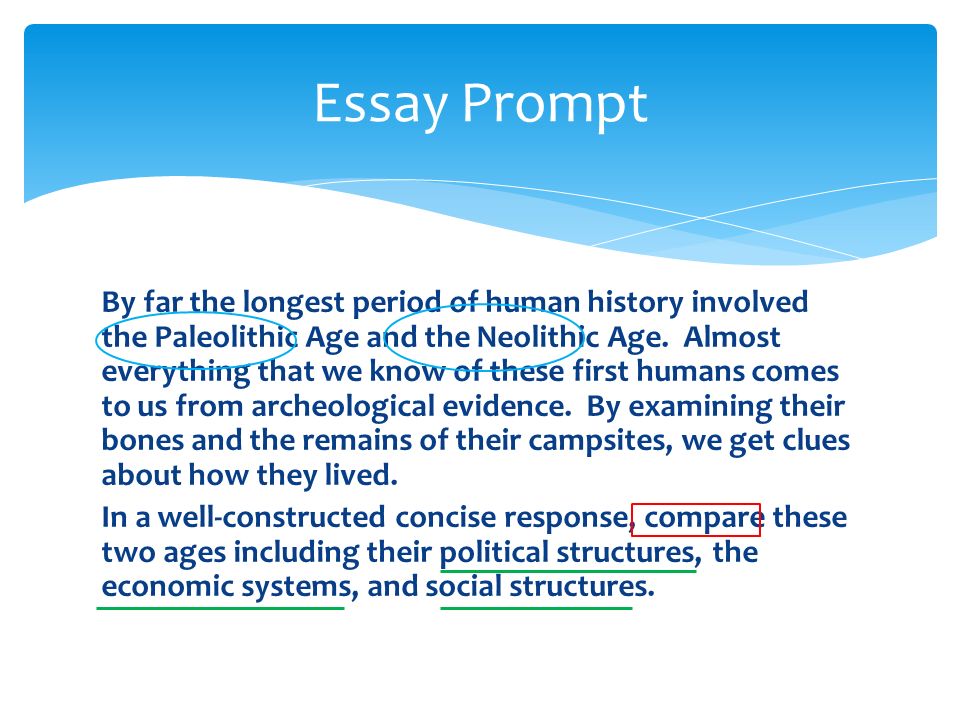 Compare Essay Outline
