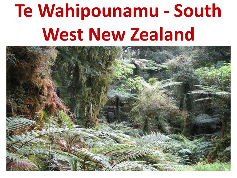 Te Wahipounamu - South West New Zealand