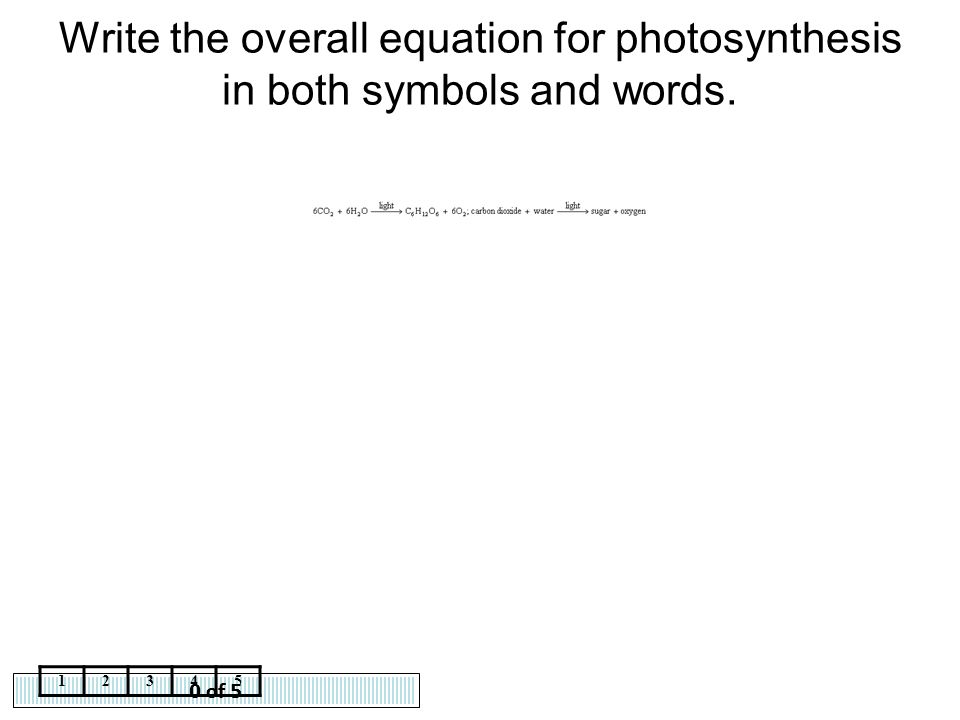 What Is The Equation For Photosynthesis In Words And Symbols Write The Overall Equation For Photosynthesis And Cellular