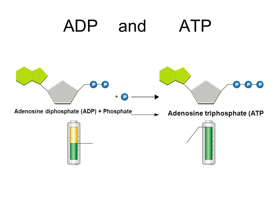 atp examples