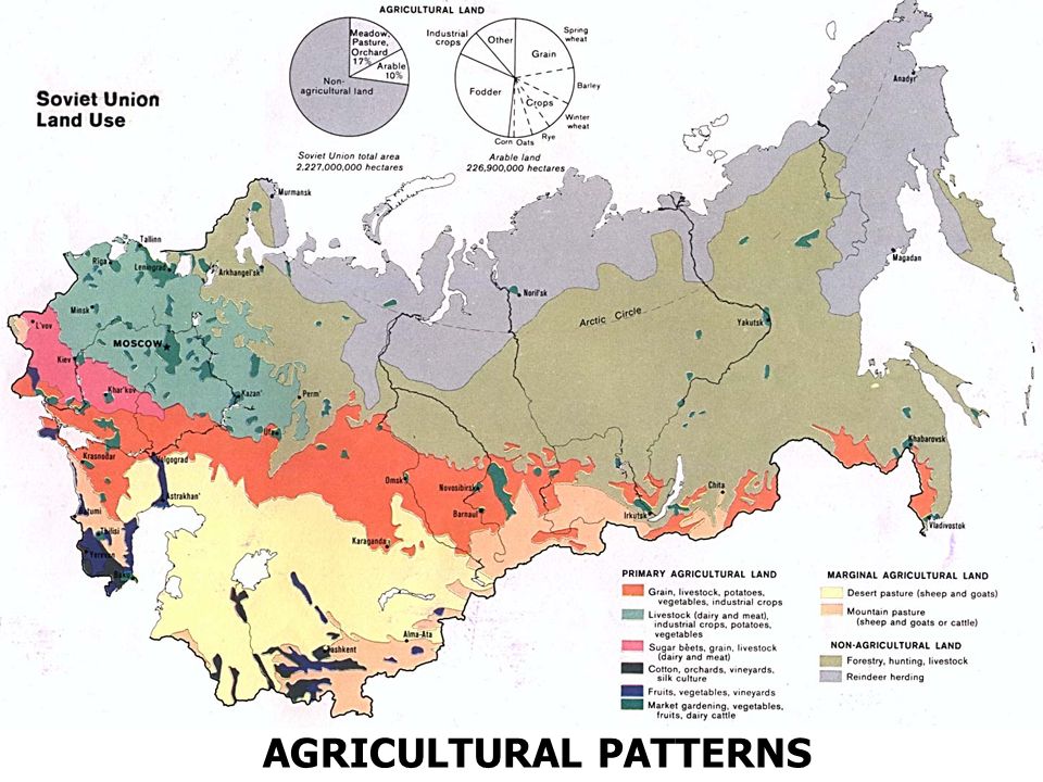 AGRICULTURAL PATTERNS