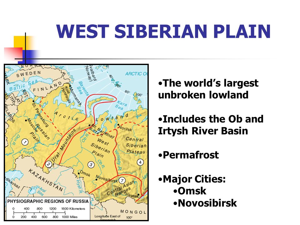 WEST SIBERIAN PLAIN The world’s largest unbroken lowland Includes the Ob and Irtysh River Basin Permafrost Major Cities: Omsk Novosibirsk