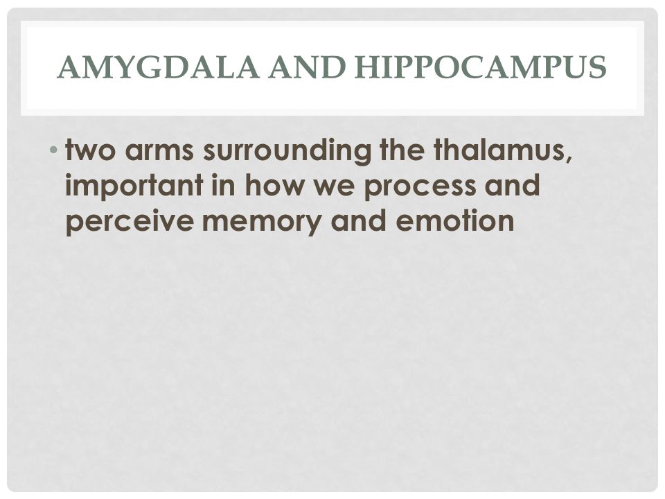 AMYGDALA AND HIPPOCAMPUS two arms surrounding the thalamus, important in how we process and perceive memory and emotion