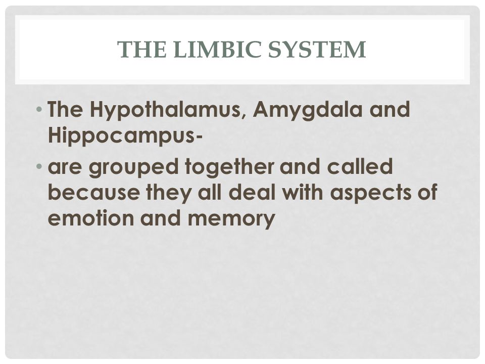 THE LIMBIC SYSTEM The Hypothalamus, Amygdala and Hippocampus- are grouped together and called because they all deal with aspects of emotion and memory