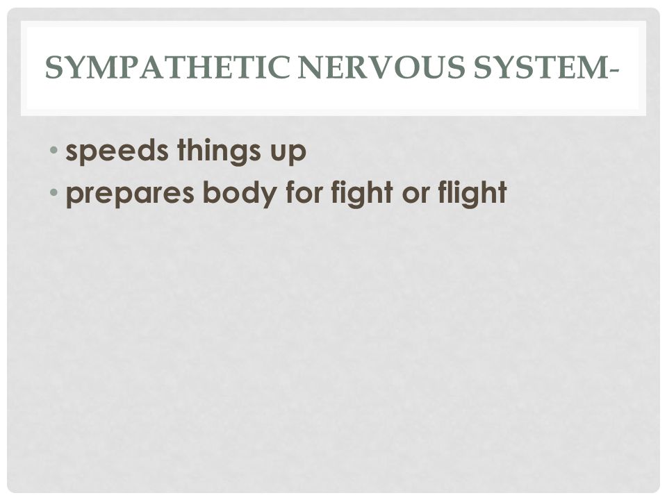 SYMPATHETIC NERVOUS SYSTEM - speeds things up prepares body for fight or flight