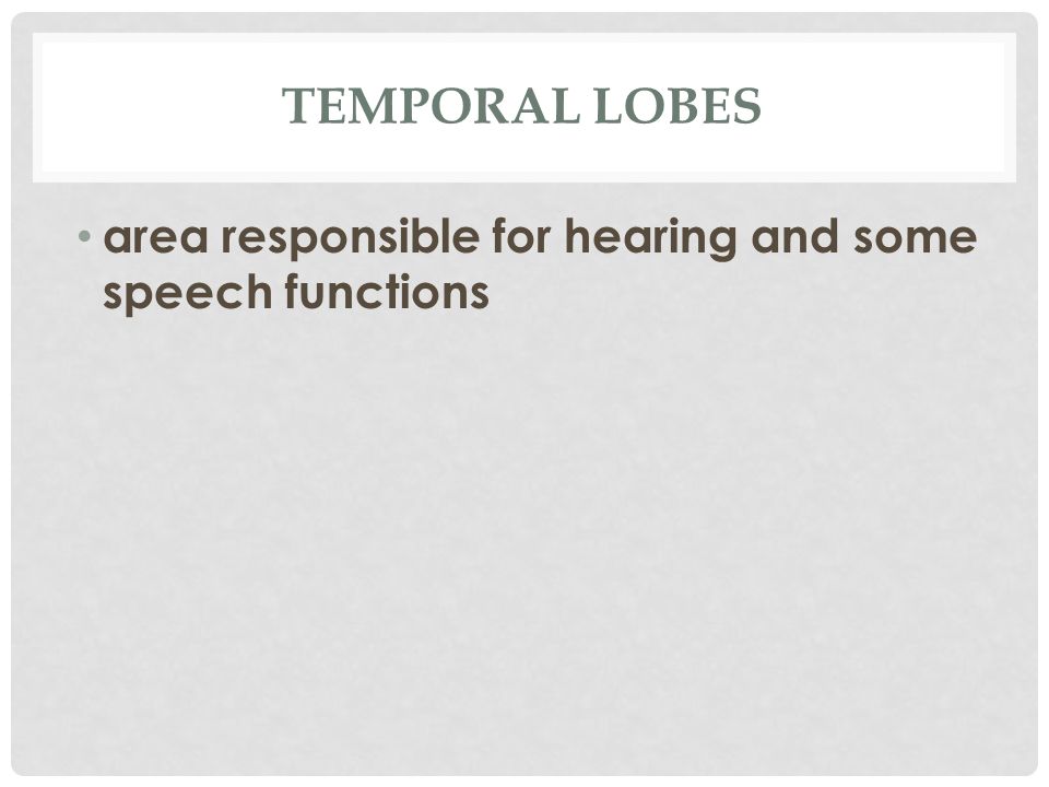 TEMPORAL LOBES area responsible for hearing and some speech functions