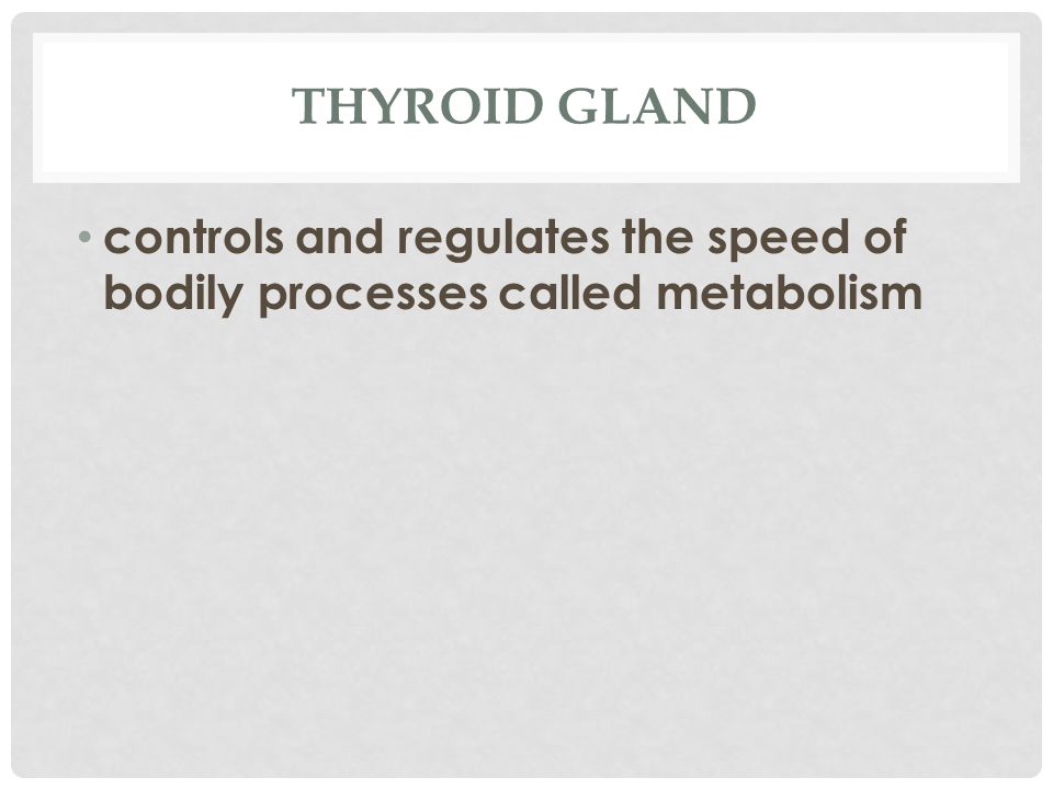THYROID GLAND controls and regulates the speed of bodily processes called metabolism