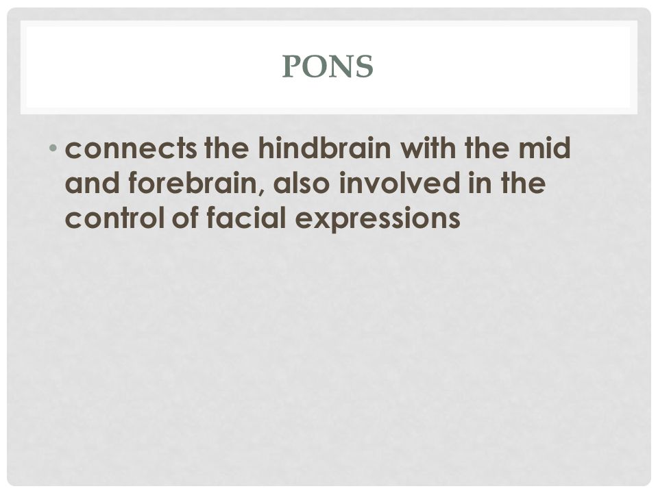 PONS connects the hindbrain with the mid and forebrain, also involved in the control of facial expressions
