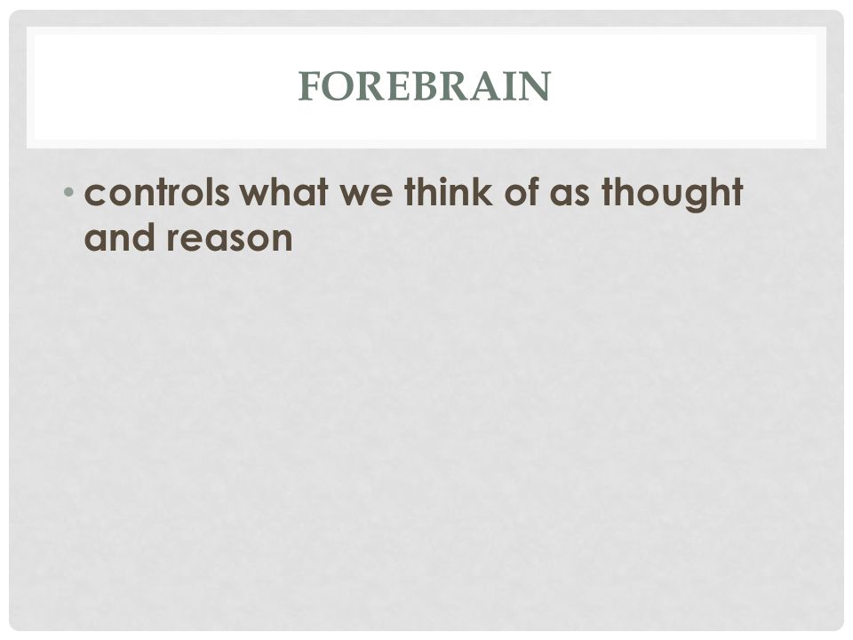 FOREBRAIN controls what we think of as thought and reason