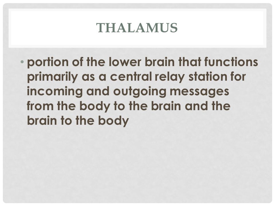 THALAMUS portion of the lower brain that functions primarily as a central relay station for incoming and outgoing messages from the body to the brain and the brain to the body