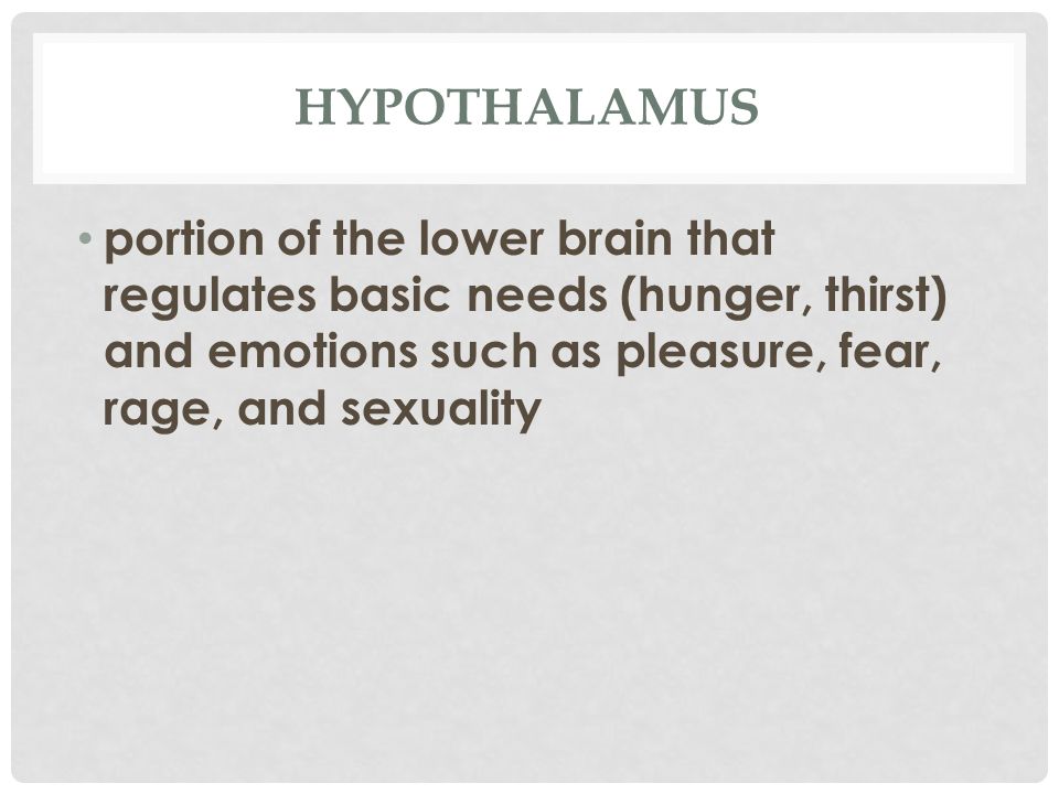 HYPOTHALAMUS portion of the lower brain that regulates basic needs (hunger, thirst) and emotions such as pleasure, fear, rage, and sexuality
