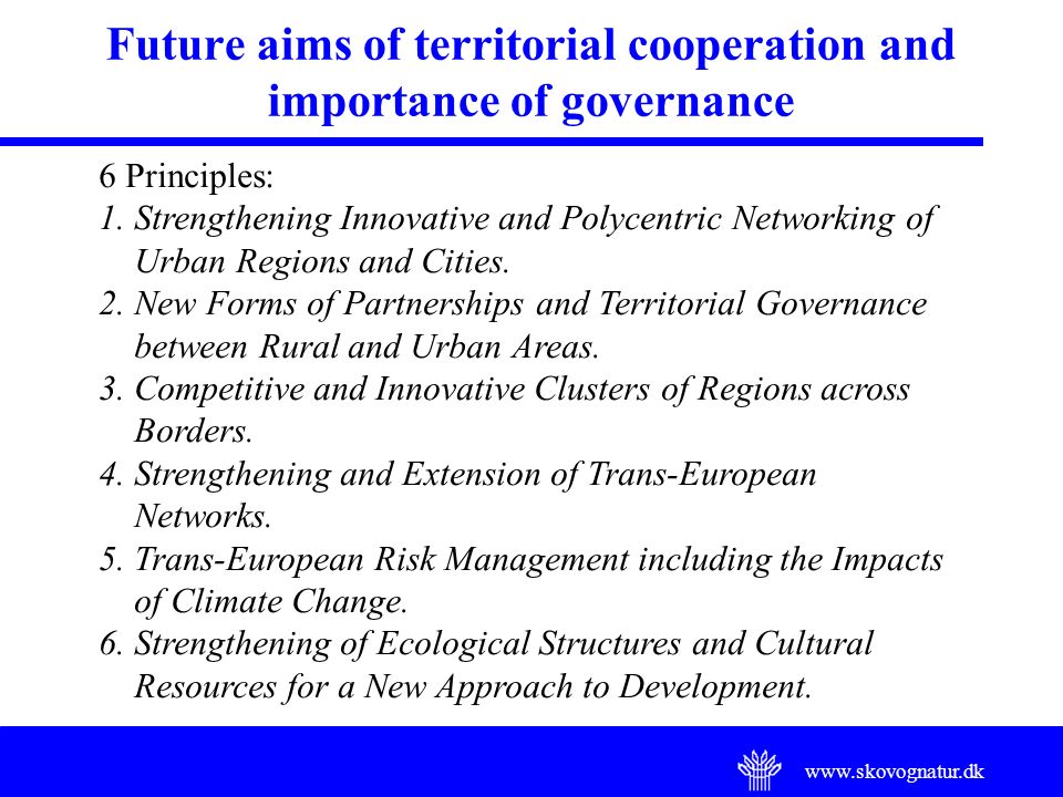 Future aims of territorial cooperation and importance of governance 6 Principles: 1.