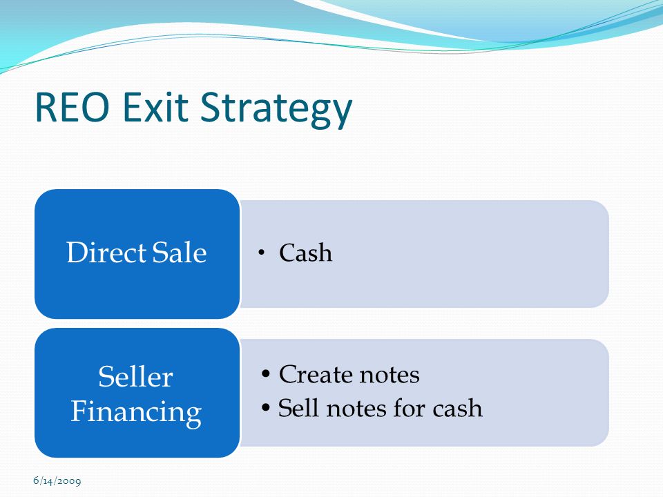 Cash Direct Sale Create notes Sell notes for cash Seller Financing REO Exit Strategy 6/14/2009