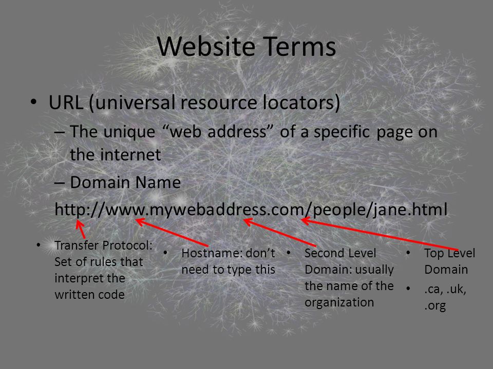 Website Terms URL (universal resource locators) – The unique web address of a specific page on the internet – Domain Name   Transfer Protocol: Set of rules that interpret the written code Hostname: don’t need to type this Second Level Domain: usually the name of the organization Top Level Domain.ca,.uk,.org