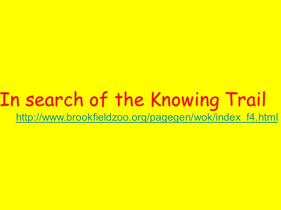 In search of the Knowing Trail