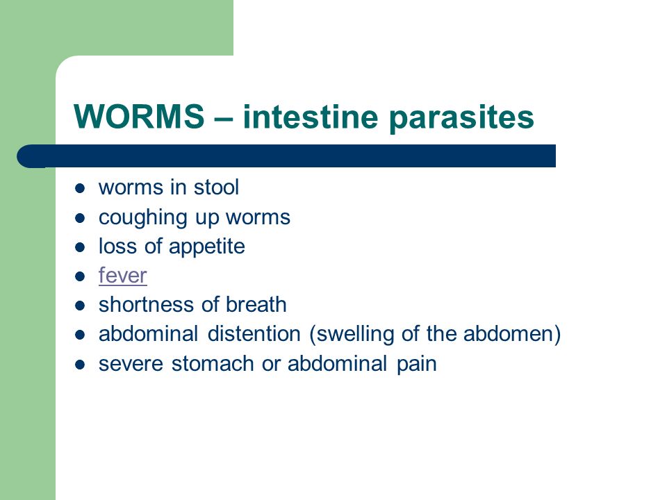 what organ produces many digestive juices to help the small