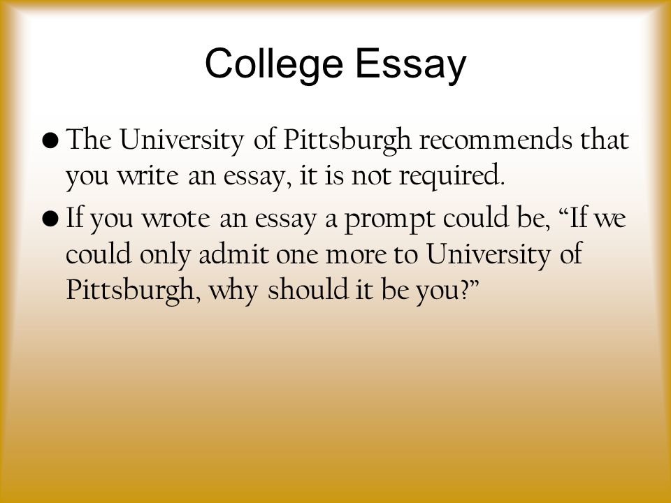 Sample Essay Papers Essays On The Diversity Of Teaching Reflective Essay Sample Paper also Sample Essay For High School Students Essays On The Diversity Of Teaching College Paper Writing Service Thesis Essay Topics