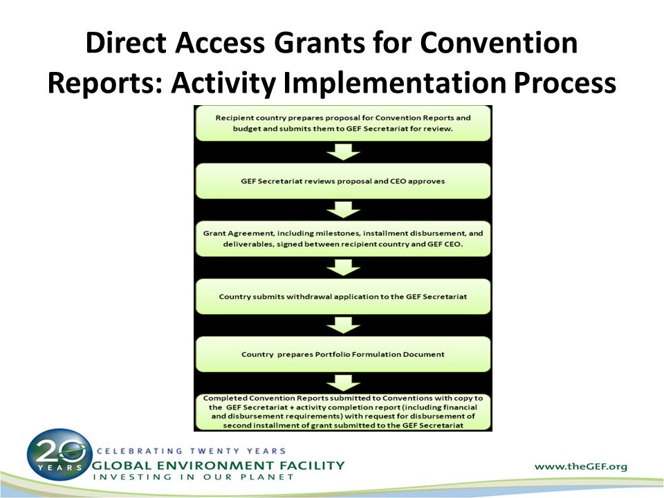 Direct Access Grants for Convention Reports: Activity Implementation Process