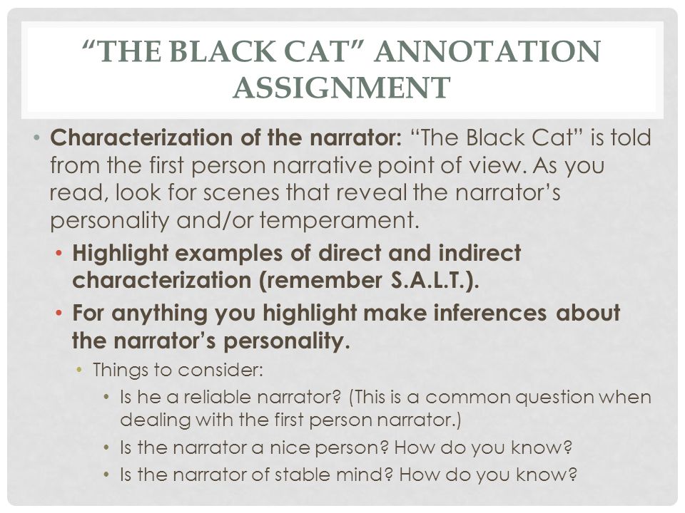 The Cat Essay