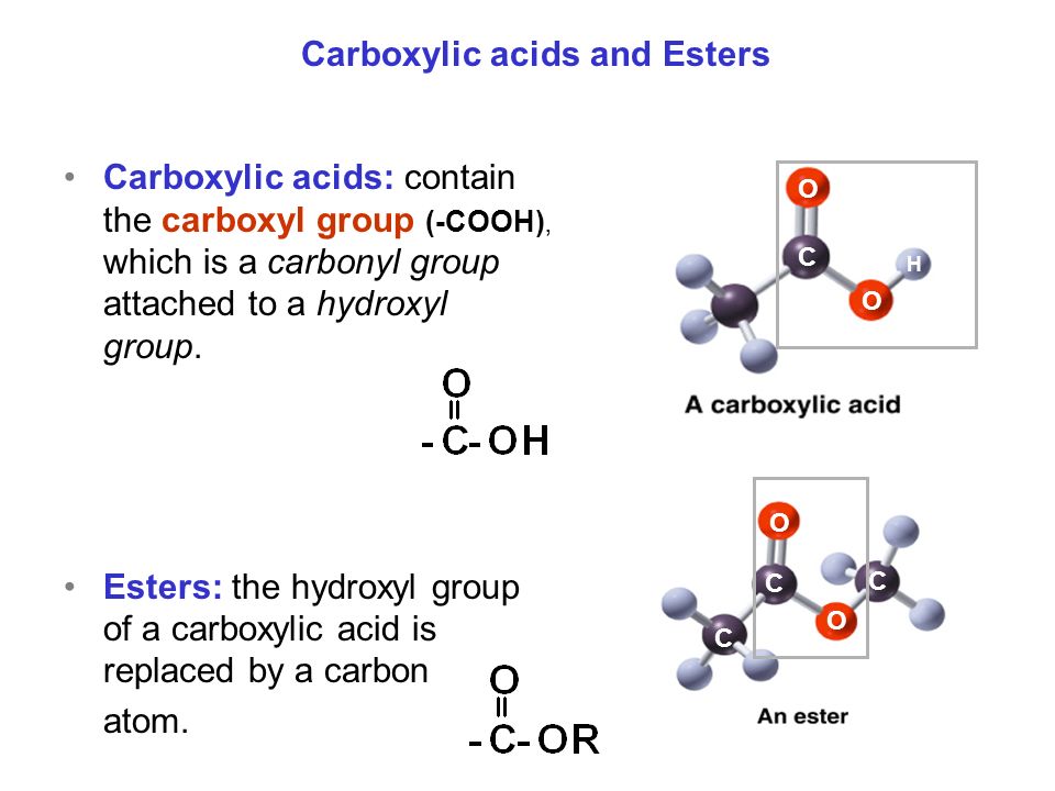 Carboxylic acids: contain the carboxyl group (-COOH), which is a carbonyl group attached to a hydroxyl group.