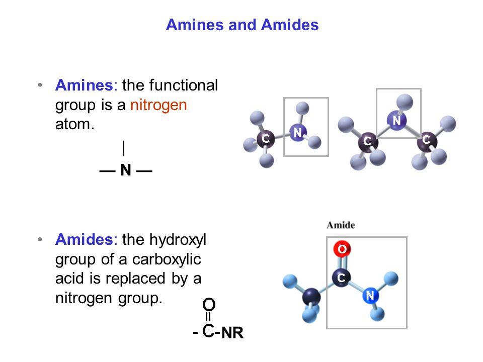 Amines: the functional group is a nitrogen atom.