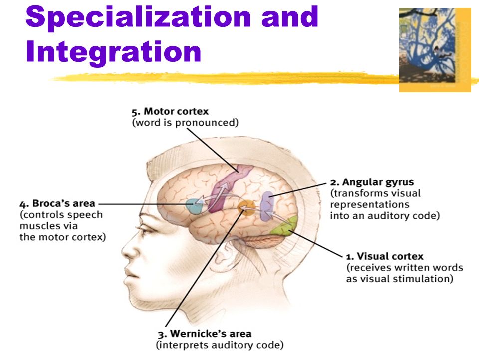 Specialization and Integration