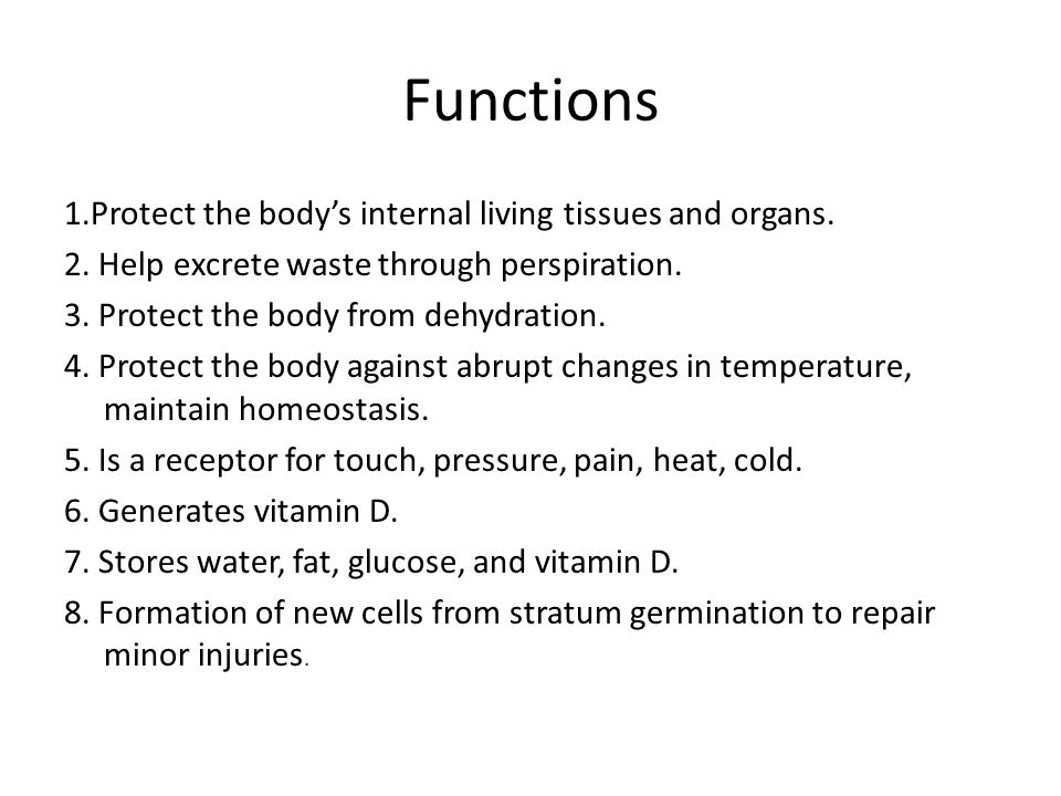 Functions 1.Protect the body’s internal living tissues and organs.