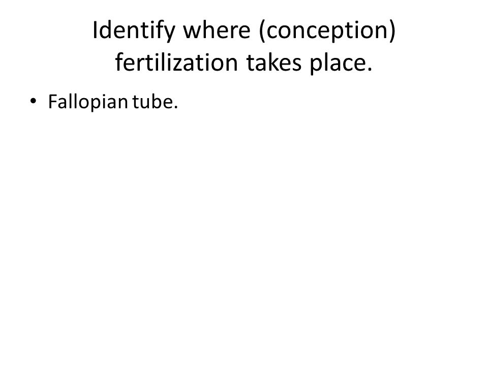 Identify where (conception) fertilization takes place. Fallopian tube.