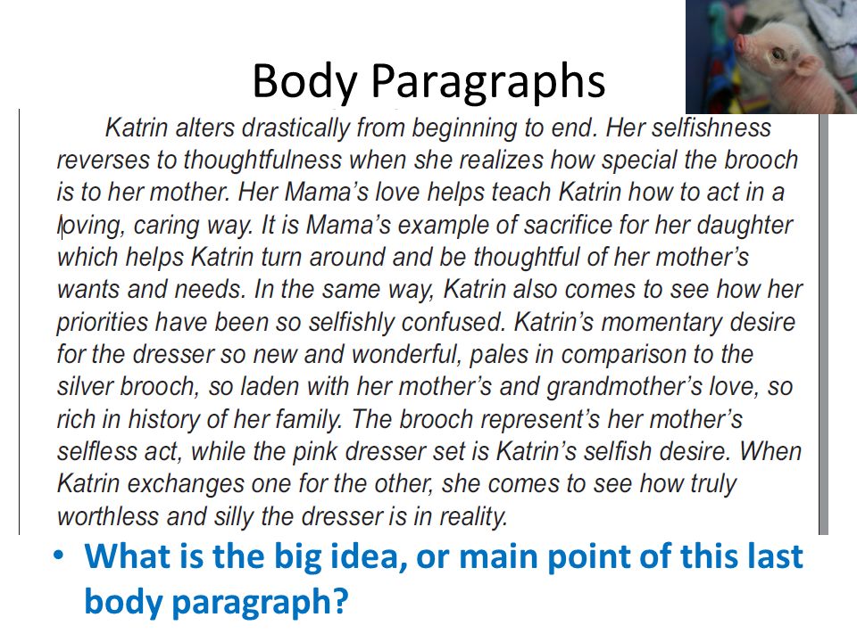 Body Paragraphs What is the big idea, or main point of this last body paragraph
