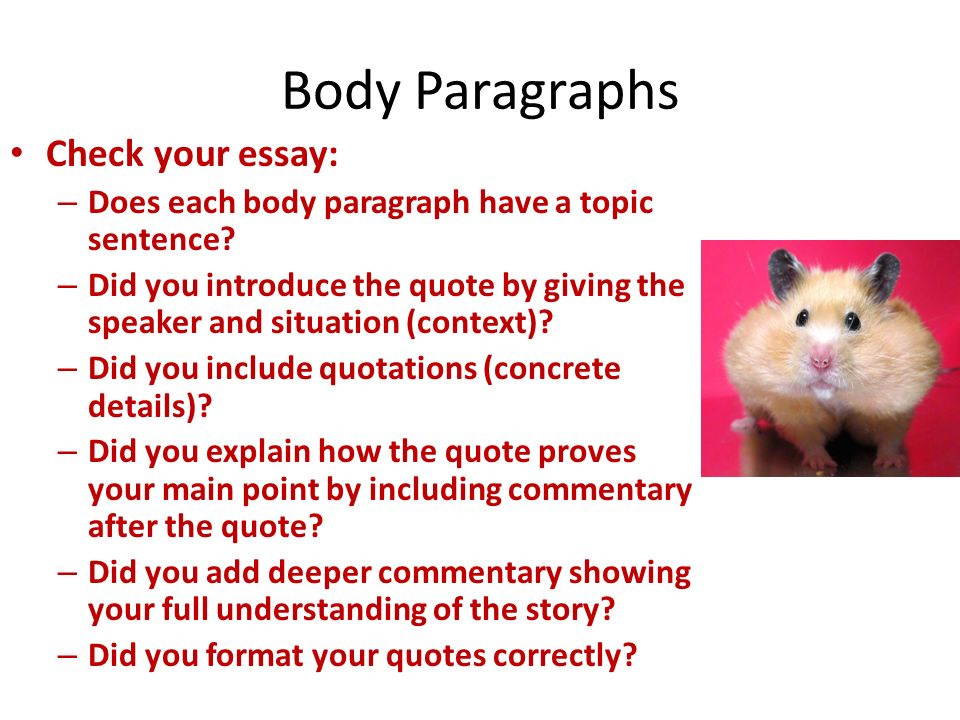 Body Paragraphs Check your essay: – Does each body paragraph have a topic sentence.