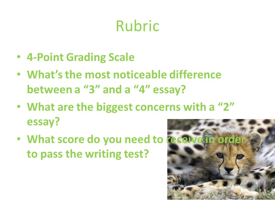Rubric 4-Point Grading Scale What’s the most noticeable difference between a 3 and a 4 essay.