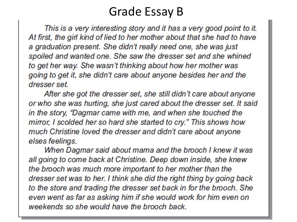 Grade Essay B