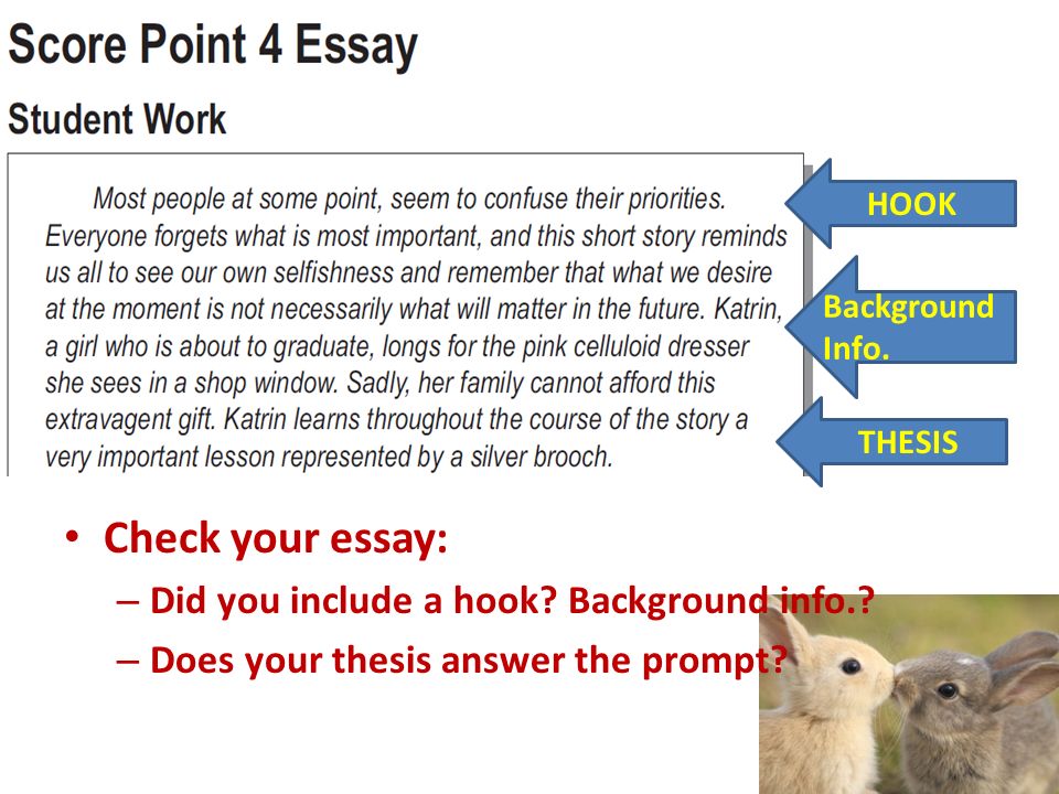 HOOK Background Info. THESIS Check your essay: – Did you include a hook.