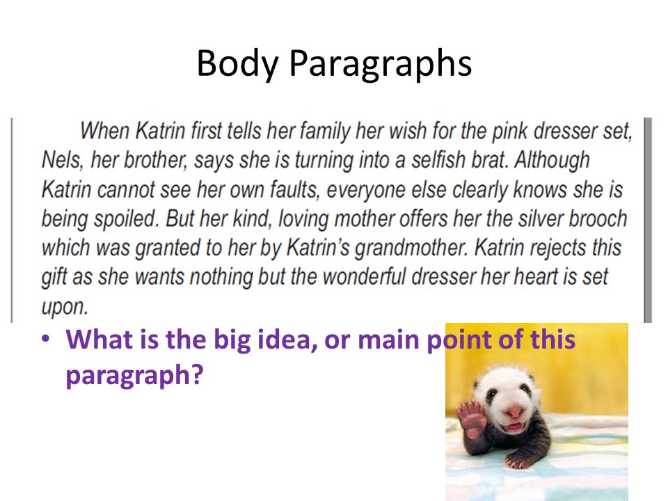 Body Paragraphs What is the big idea, or main point of this paragraph