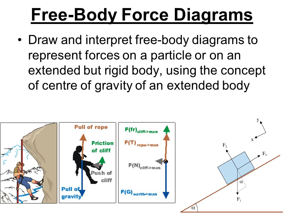 force and free body diagram force and free body diagram