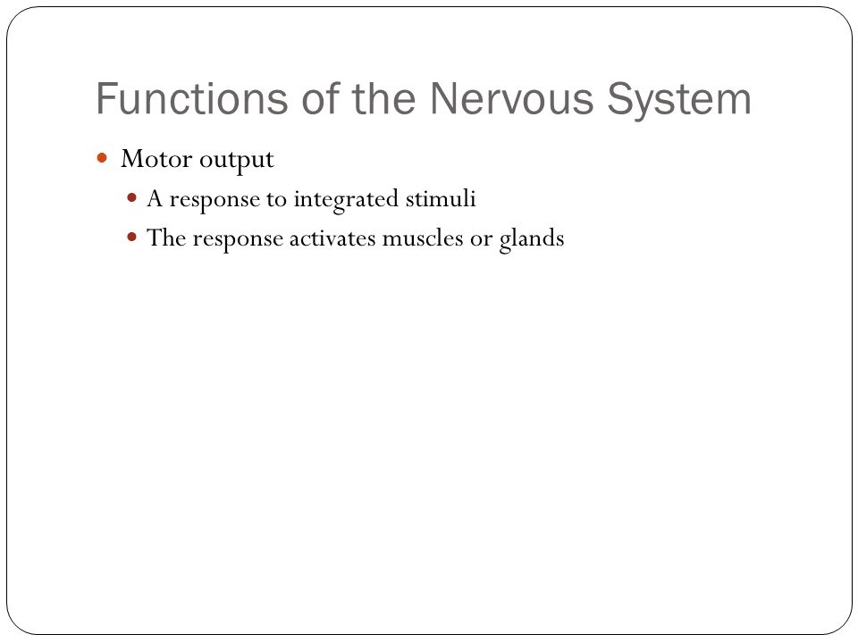Functions of the Nervous System Motor output A response to integrated stimuli The response activates muscles or glands